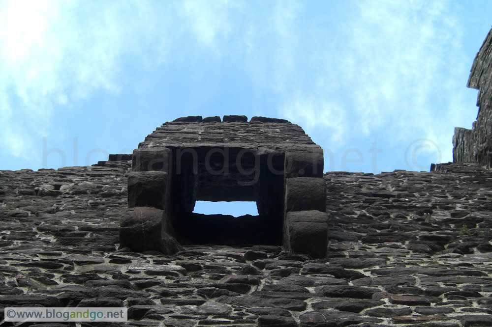 Looking up a latrine shoot